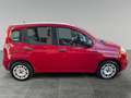 Fiat Panda Panda 1.2 EasyPower Easy - thumbnail 4