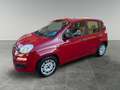 Fiat Panda Panda 1.2 EasyPower Easy - thumbnail 6