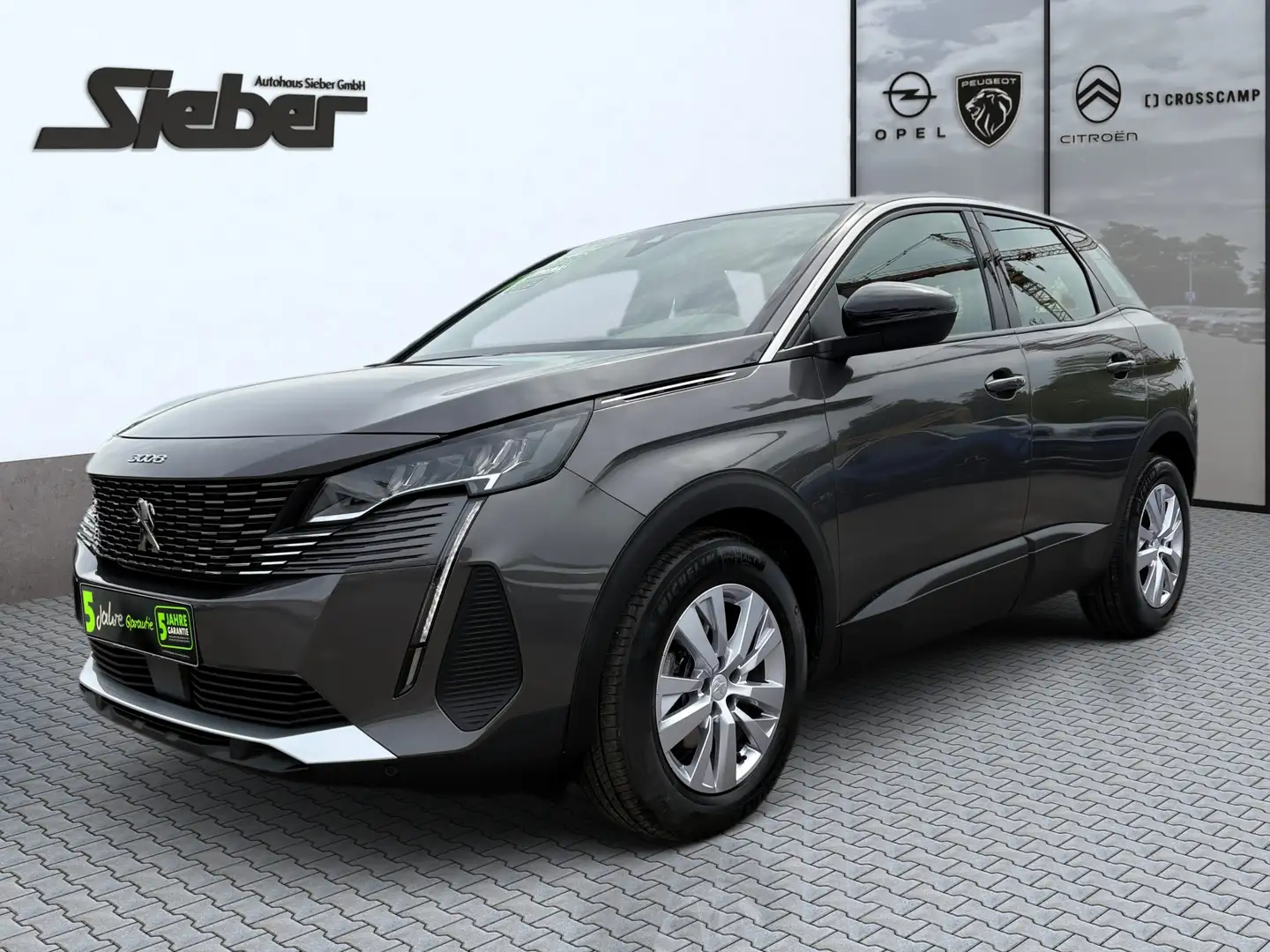 Peugeot 3008 1.5 BlueHDi 130 Active Pack Sitzhzg Kamera Gris - 2
