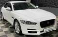 Jaguar XE Pure, Navi, Sitzheizung, Tempomat, Xenon Blanc - thumbnail 1