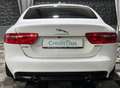 Jaguar XE Pure, Navi, Sitzheizung, Tempomat, Xenon Blanc - thumbnail 6