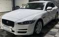 Jaguar XE Pure, Navi, Sitzheizung, Tempomat, Xenon Blanc - thumbnail 4