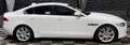 Jaguar XE Pure, Navi, Sitzheizung, Tempomat, Xenon Blanc - thumbnail 8