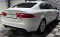 Jaguar XE Pure, Navi, Sitzheizung, Tempomat, Xenon Blanc - thumbnail 7