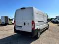 Fiat Ducato 35 LH2 2.2 mjt3 140cv serie 8 +iva Weiß - thumbnail 7