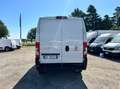 Fiat Ducato 35 LH2 2.2 mjt3 140cv serie 8 +iva Weiß - thumbnail 6