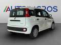 Fiat Panda 1.0 70cv Hybrid Panda Білий - thumbnail 5