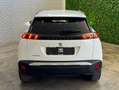 Peugeot 2008 2008 II 2020 1.2 puretech Allure s Bianco - thumbnail 7