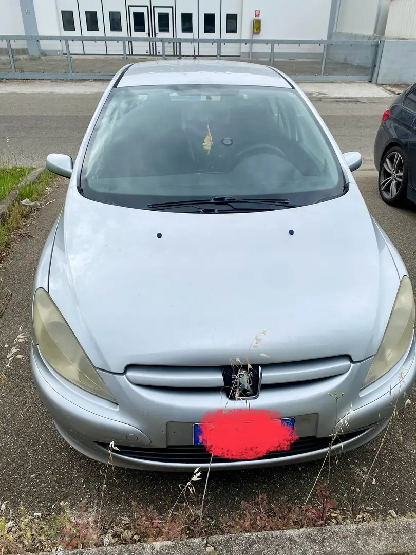 Peugeot 307 Argento - 2
