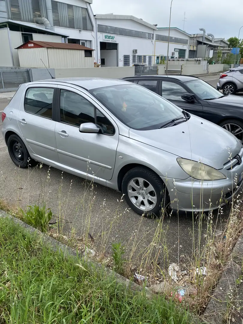 Peugeot 307 Argento - 1
