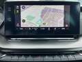 Skoda Octavia Combi RS 2.0 TDI DSG Navi, DCC, RFK, Sun Grau - thumbnail 22