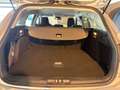Ford Focus COOL & CONNECT NAVI / PDC / LMF / WINTER-PAKET Silber - thumbnail 14