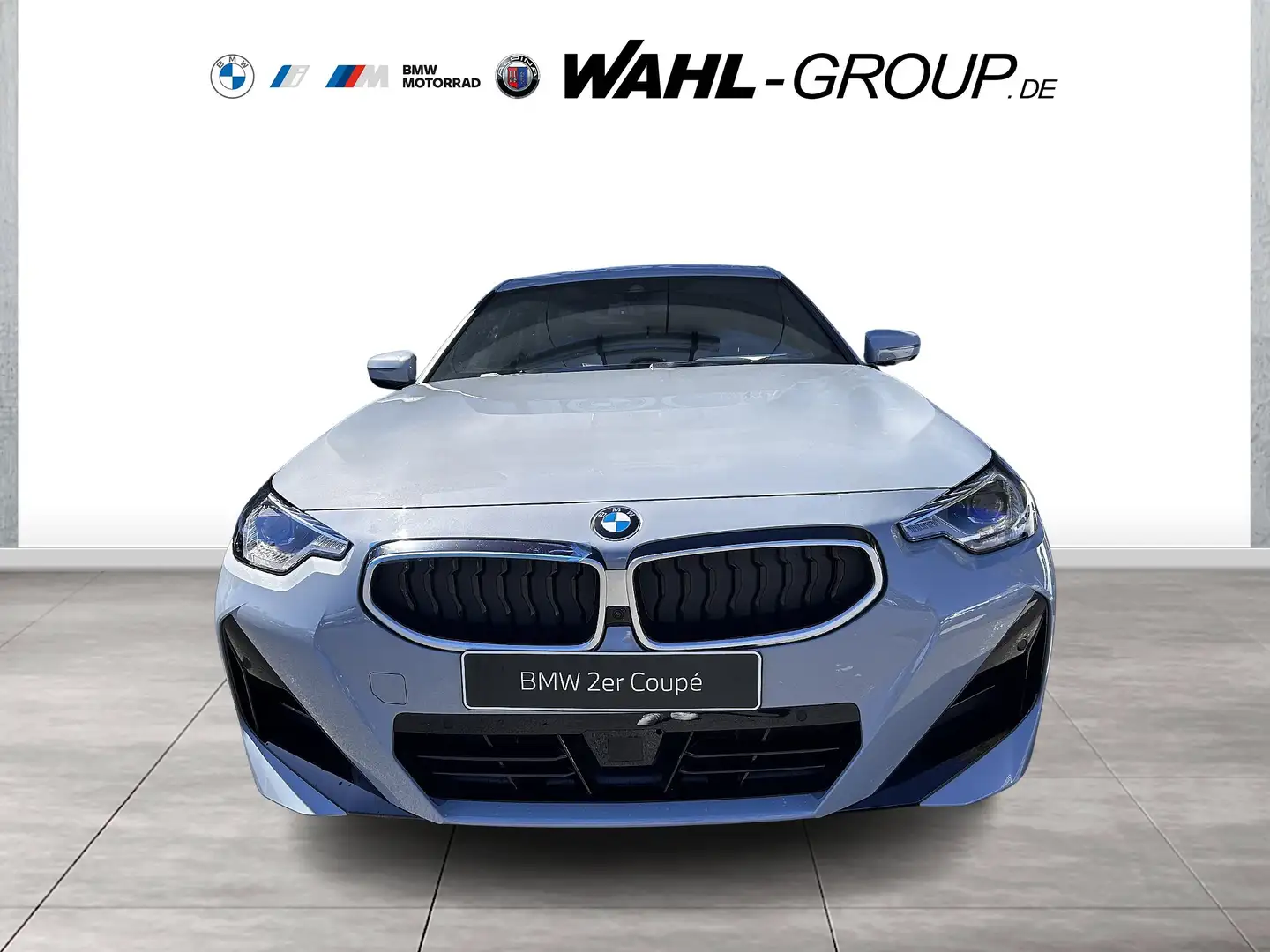 BMW 230 i Coupé M Sport ACC HiFi HeadUp Navi LED Gris - 2