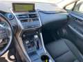 Lexus NX 300h 2.5 Hybrid Business CVT 4WD White - thumbnail 15