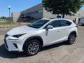 Lexus NX 300h 2.5 Hybrid Business CVT 4WD Bianco - thumbnail 1