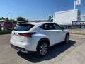 Lexus NX 300h 2.5 Hybrid Business CVT 4WD White - thumbnail 5