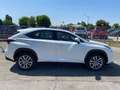 Lexus NX 300h 2.5 Hybrid Business CVT 4WD White - thumbnail 4