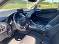 Lexus NX 300h 2.5 Hybrid Business CVT 4WD White - thumbnail 9