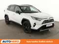 Toyota RAV 4 2.5 Hybrid 4x2 Style Selection Aut.*NAVI*LED*360° Weiß - thumbnail 8