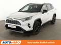 Toyota RAV 4 2.5 Hybrid 4x2 Style Selection Aut.*NAVI*LED*360° Weiß - thumbnail 1