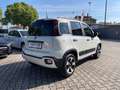 Fiat Panda 1.0 FireFly S&S Hybrid Cross #5.posti Blanc - thumbnail 5