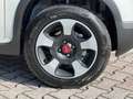 Fiat Panda 1.0 FireFly S&S Hybrid Cross #5.posti Blanc - thumbnail 15