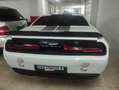 Dodge Challenger SRT8 Aut. Blanc - thumbnail 5