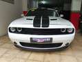 Dodge Challenger SRT8 Aut. Blanc - thumbnail 6