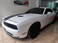 Dodge Challenger SRT8 Aut. Blanc - thumbnail 7