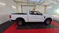 Ford Ranger 2.0 ECOBLUE 170CH AUTO SUPER CABINE XLT Blanc - thumbnail 4