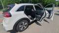 Kia Niro Niro 1.6 GDI HEV 2WD OPF Aut. Vision Weiß - thumbnail 1