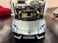 Lamborghini Aventador Aventador Roadster 6.5 V12 LP 700-4 - thumbnail 19