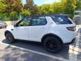 Land Rover Discovery Sport Discovery Sport Mark V D150 MHEV AWD BVA SE Blanc - thumbnail 14