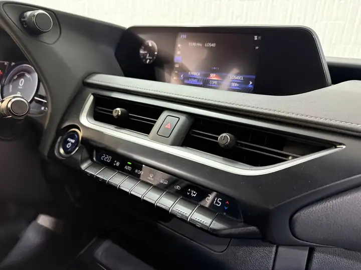 Lexus UX 2020, foto 18