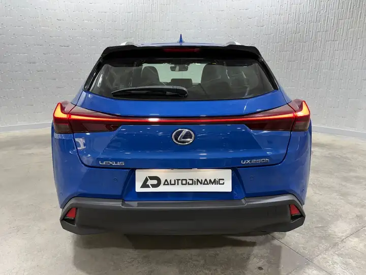 Lexus UX 2020, foto 24