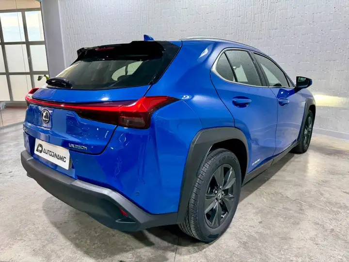 Lexus UX 2020, foto 4