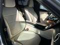 Mercedes-Benz C 220 d Mild hybrid 4Matic Advanced All-Terrain Grau - thumbnail 13