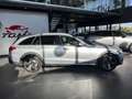 Mercedes-Benz C 220 d Mild hybrid 4Matic Advanced All-Terrain Grau - thumbnail 4