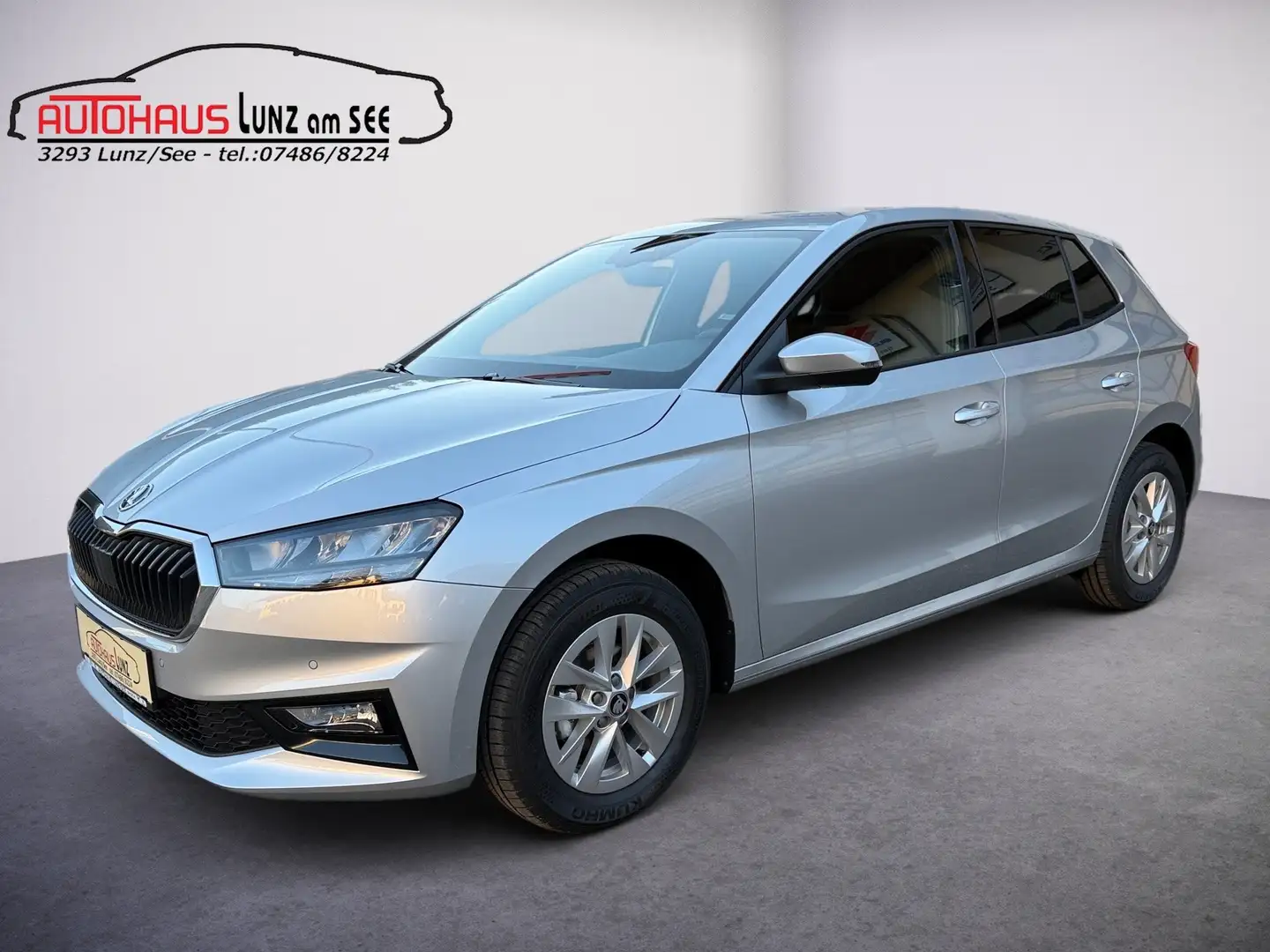 Skoda Fabia Selection Silber - 1