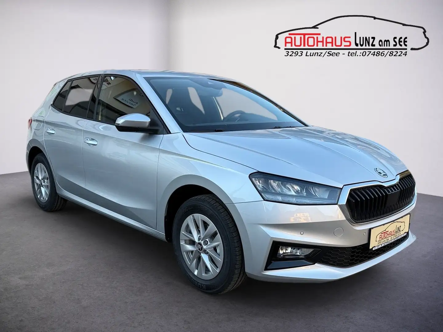 Skoda Fabia Selection Silber - 2