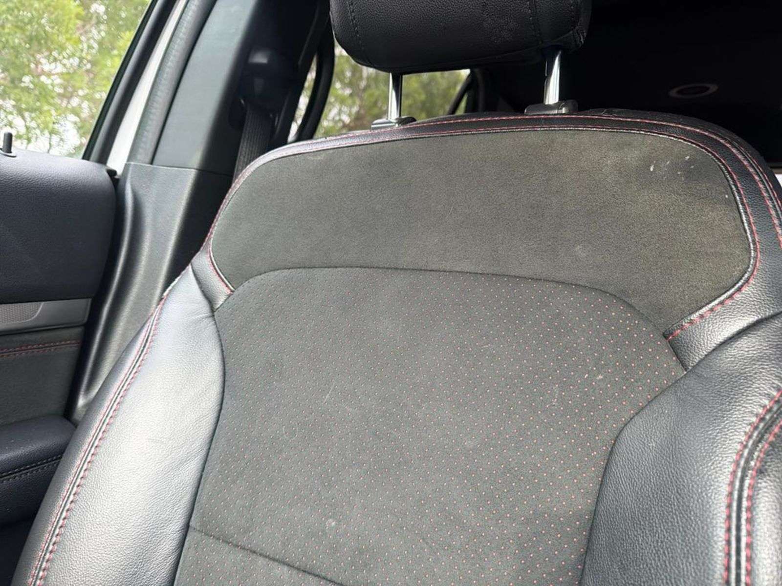 Image 19