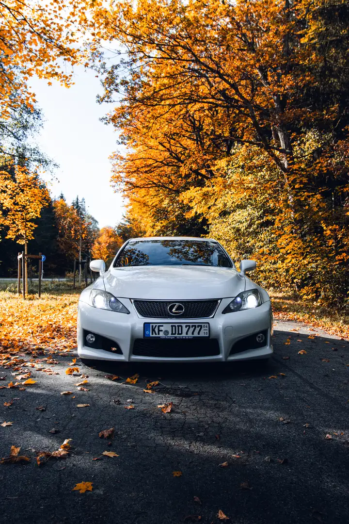 Lexus IS F White - 1