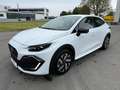 Renault Clio Evolution TCe 115 EDC Automatik Sitzheizung Weiß - thumbnail 1