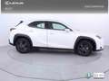 Lexus UX 300h 2.0  Plus Blanc - thumbnail 27