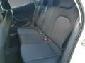 SEAT Ibiza 1.0 TSI Style Facelift*VirtualCP*Carplay Weiß - thumbnail 14
