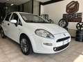 Fiat Punto 5p 1.3 mjt Lounge s&s 95cv - thumbnail 1