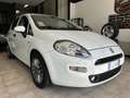 Fiat Punto 5p 1.3 mjt Lounge s&s 95cv - thumbnail 2