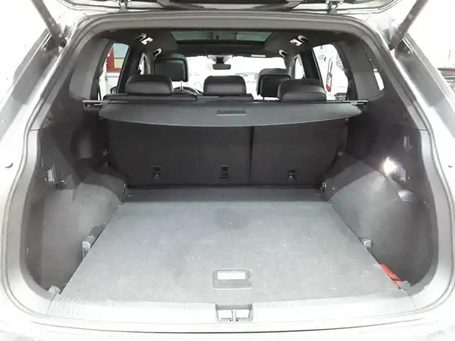 Volkswagen Tiguan view 15
