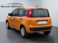 Fiat Panda Easy 1.2 PDC Klima Gar. Start-Stop ZV HUAU neu Ins Orange - thumbnail 3