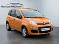 Fiat Panda Easy 1.2 PDC Klima Gar. Start-Stop ZV HUAU neu Ins Orange - thumbnail 7